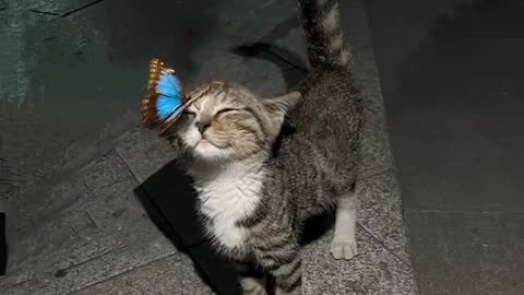 pretty little baby (slowed + reverb)