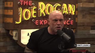 Elon Musk calls for an Investigation into the Suicide of Suchir Balaji, OpenAI Whistleblower