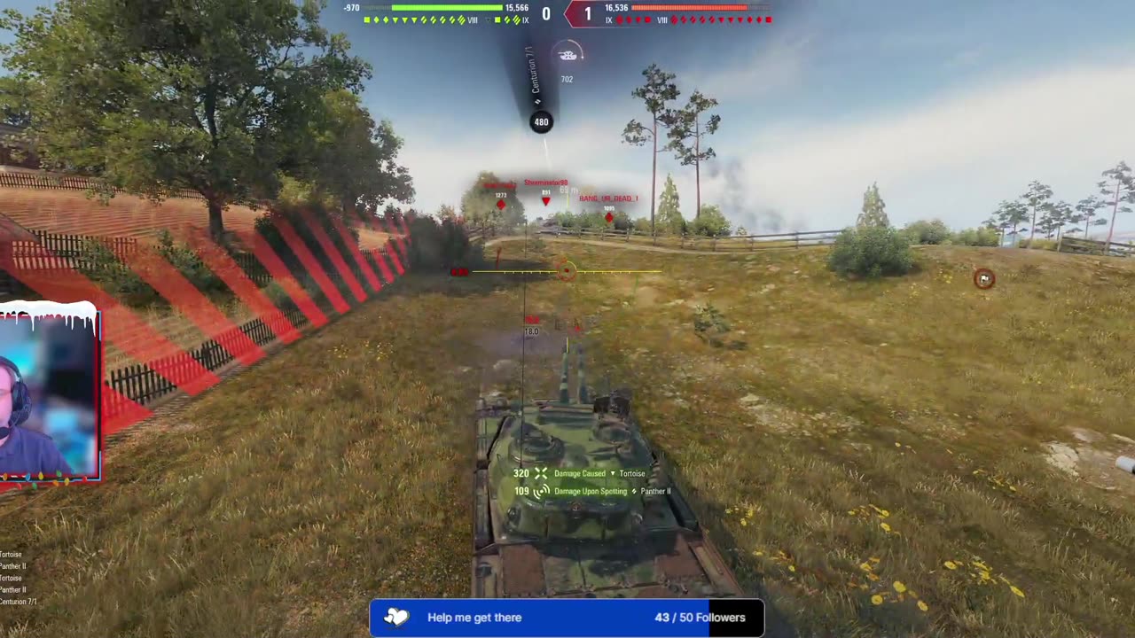 Highlight: Tortoise getting chewed up