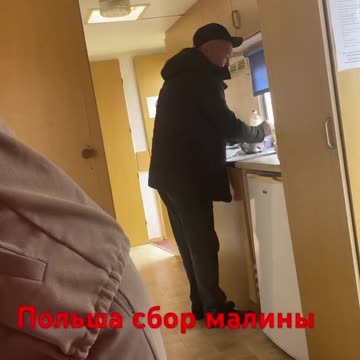 Poland, raspberry picking.