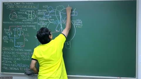 VONEX REPASO 2025 - 1 | Semana 05 | Anatomía