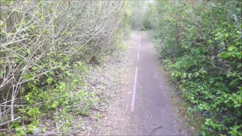 Forgotten Paths: Main Trail of the Linde 2017