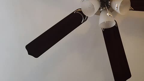 Reaction video to Chadlet Maxing only gay men find me attractive as a short guy