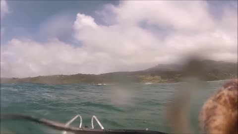 Coastguard rescue
