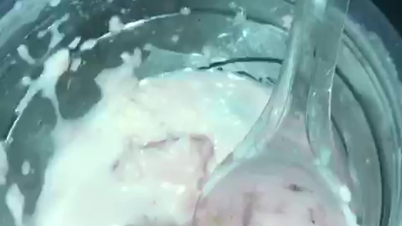fruits salad