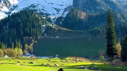 Feel This Vibe ❤️