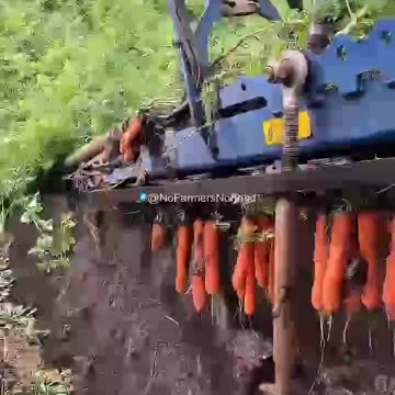 If the American agricultural industry continues to create agricultural breakthroughs like this