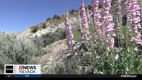 Nevada Backroads: Understanding the Great Basin