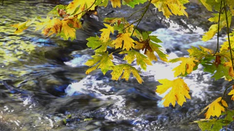 "The difference between a successful person and others is not a lack of strength,