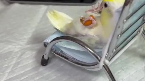 Like One Of The Kids