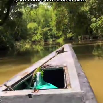 Head in Hands: The Reaction to Trump's China Tariffs