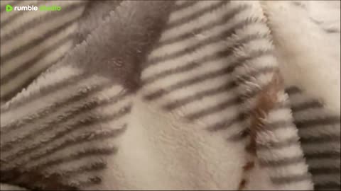 I'll be everything pure you hate