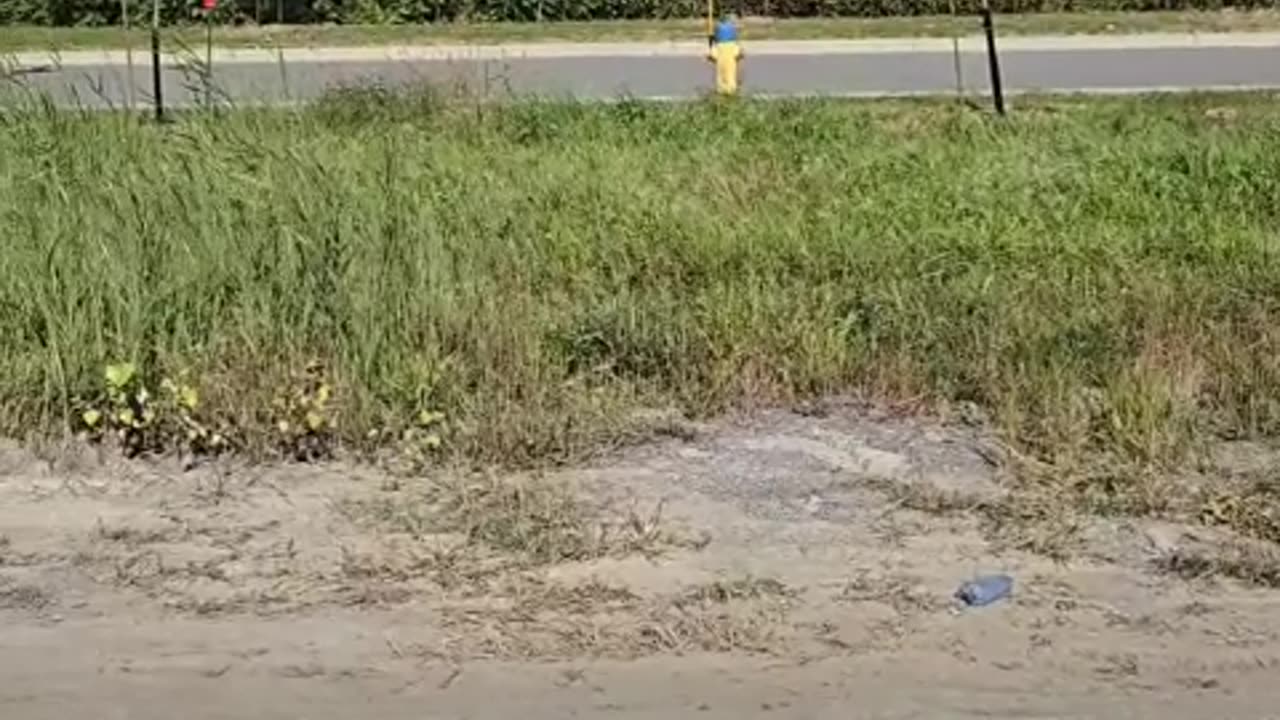 On the Offramp