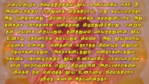 November 27 | PURE CONSCIOUSNESS | Daily Divine Digest