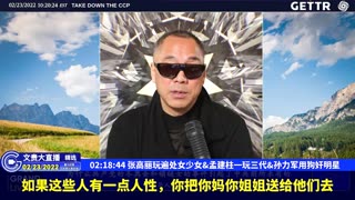 （33|51）张高丽玩遍处女少女、孟建柱一玩三代、孙力军用狗奸明星【2022年02月23日文貴大直播精选】