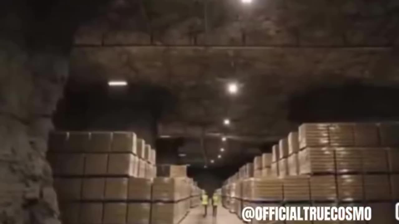 Ally Carter, a victim of P Diddy speaks about the underground cities and baby farms🙄