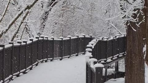 winter