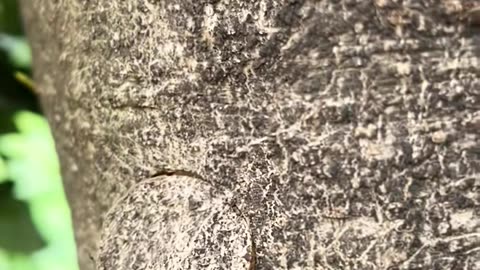 🤯🚿 This Is the Best Way to Organize Your Closet! | LifeHacksDaily