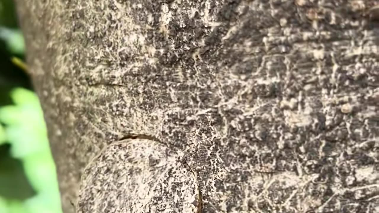 🤯🚿 This Is the Best Way to Organize Your Closet! | LifeHacksDaily