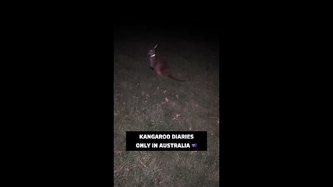 Kangaroo diaries only in Australia π¦πΊ