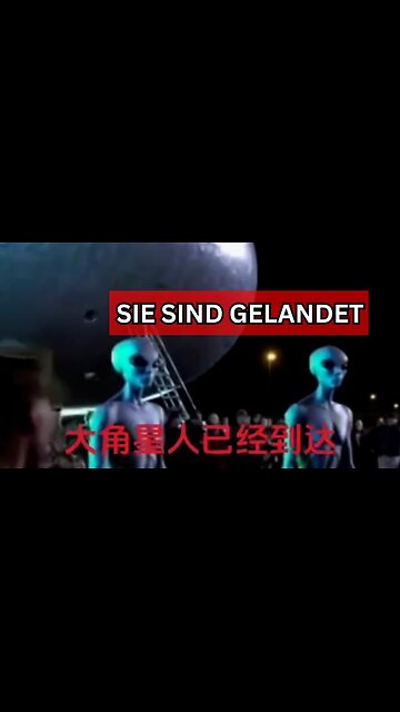 Eine Delegation der großen Greys landet mit einem Ei-förmigen UFO auf einer Militärbasis