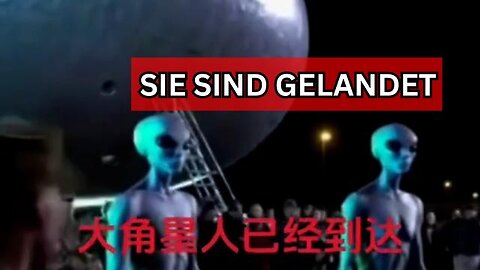 Eine Delegation der großen Greys landet mit einem Ei-förmigen UFO auf einer Militärbasis