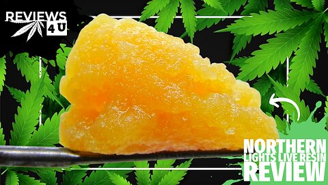 NORTHERN LIGHTS LIVE RESIN REVIEW | REVIEWS 4 U