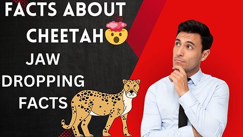 Jaw-Dropping facts about cheetah