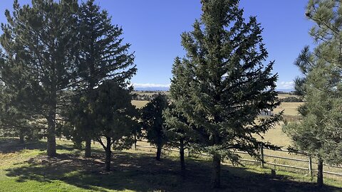 Very nice day outside