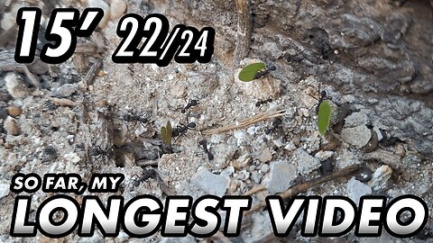 ASMR - 1st year of the channel! Finally, I can upload longer videos - 15' 22/24