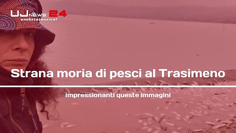 Strana moria di pesci al Trasimeno impressionanti queste immagini