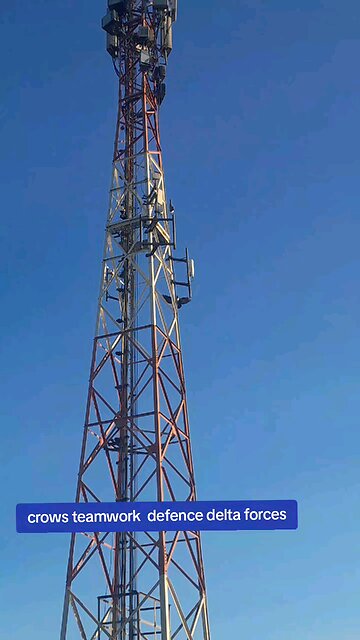 crows teamwork delta force defence style