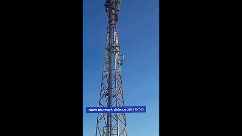 crows teamwork delta force defence style