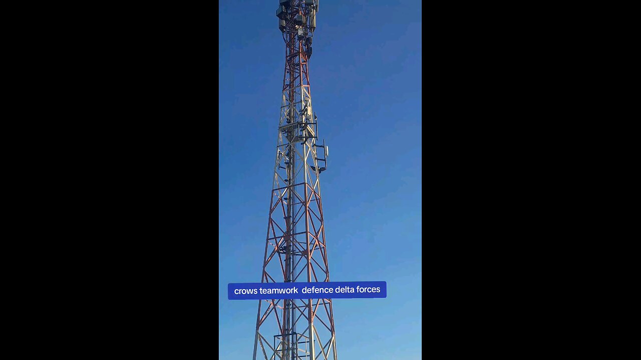 crows teamwork delta force defence style