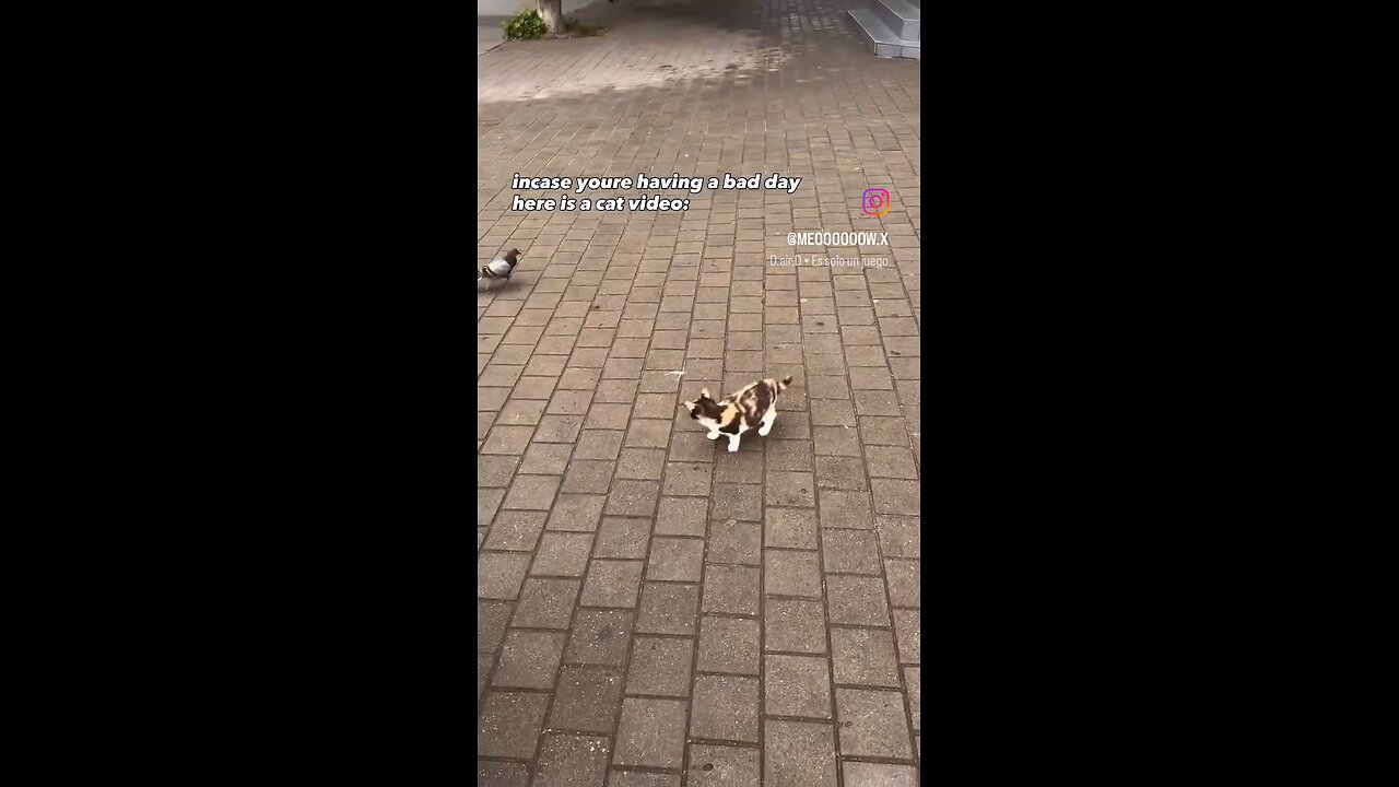 In case someone having a bad day