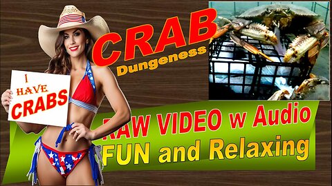 LovingKindWarm Crab Video Underwater Crab Pot Fish Boat ASMR Visual/Audio Fun Sept 2d 2024b Pt2 PV