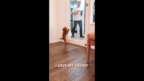 Excitement level 🐻