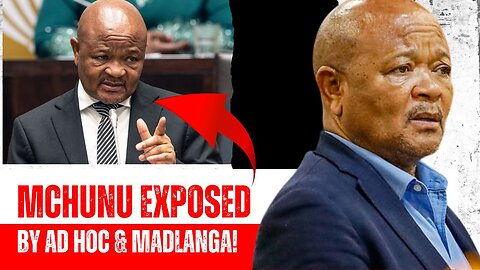 Top 5 SHOCKING Revelations from Mchunu and Madlanga's Inquiry Hearing