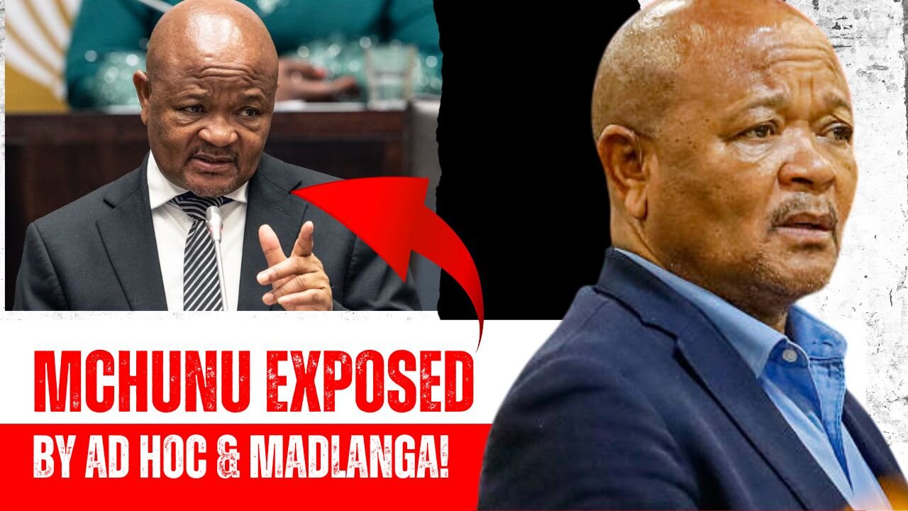Top 5 SHOCKING Revelations from Mchunu and Madlanga's Inquiry Hearing