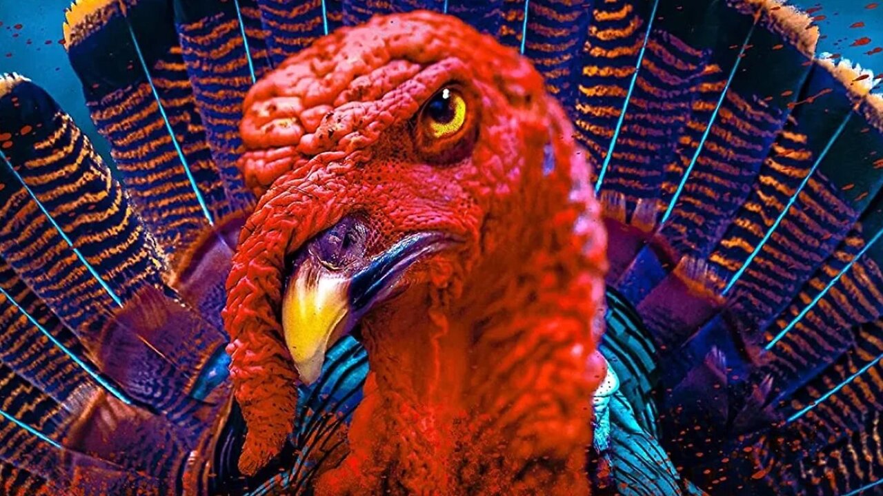 Happy Thanksgiving Eve!