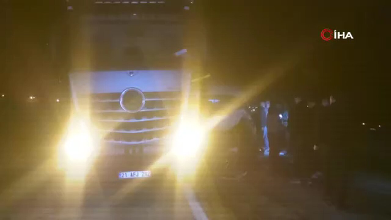 Yola çıkan inek zincirleme kazaya yol açtı, inek telef oldu