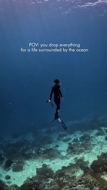 Free Life , Free Dive