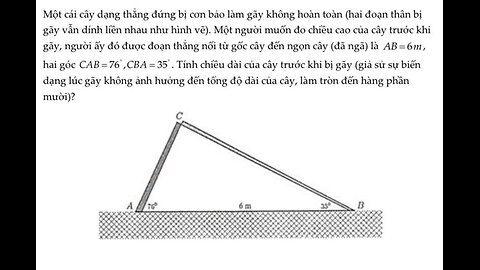 Toán 10: Một cái cây dạng thẳng đứng bị con bão làm gãy không hoàn toàn (hai đoạn thân