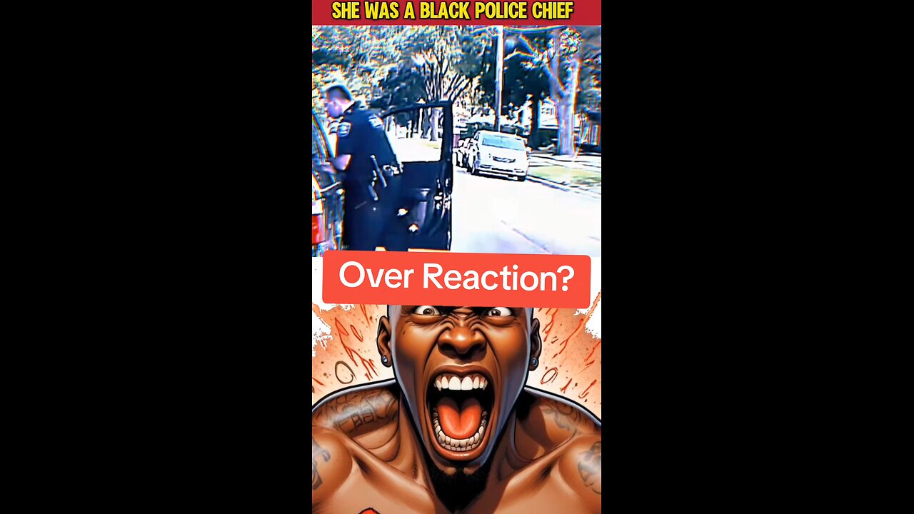 Over reaction a rookie cop made a rookie mistake