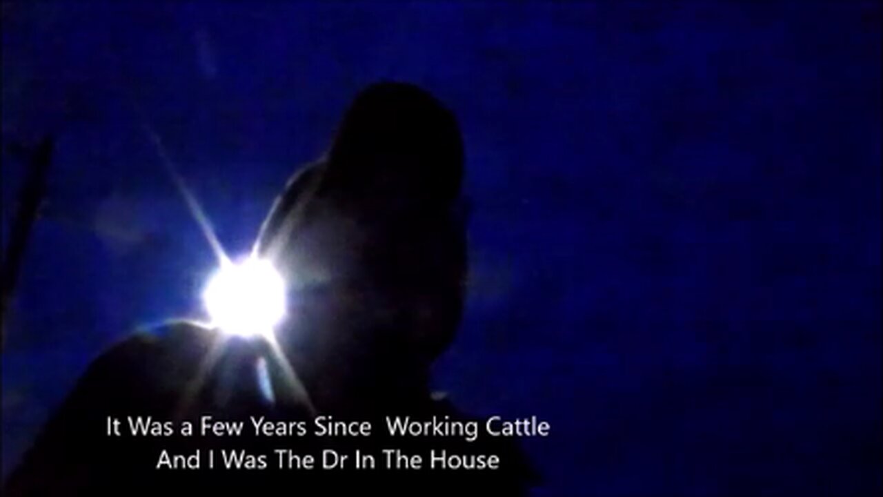 Vintage Ranching Working Calves I'm The Dr. On Call