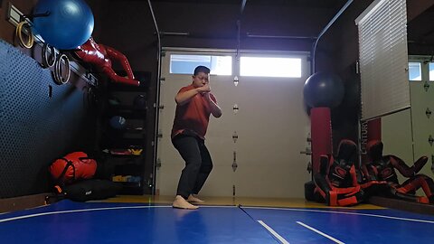 WTD 2 Step Kick Combination 199