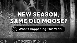 New Season, Same Moose?