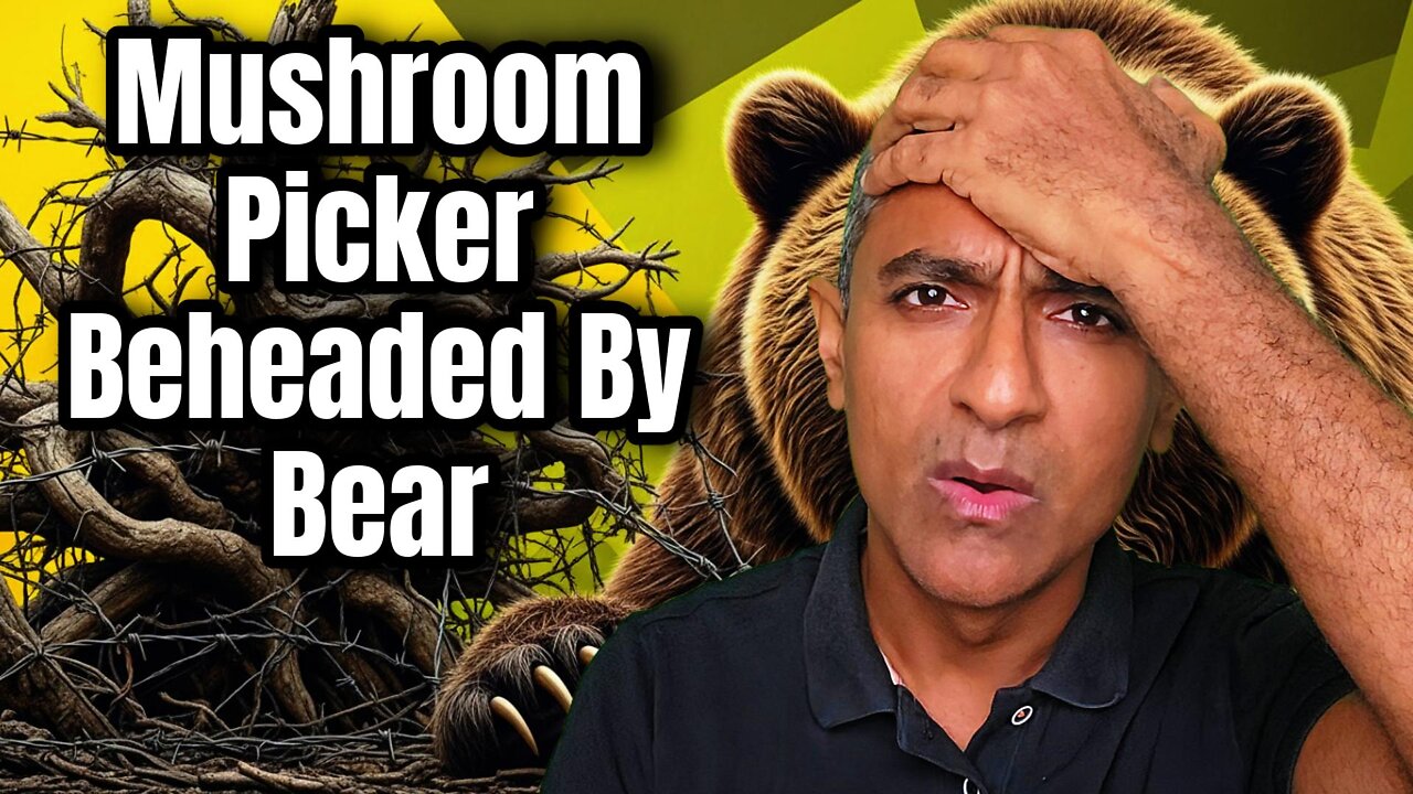 Deadly Bear Attack in Japan: Elderly Mushroom Picker Found Mauled in Forest