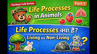 Life Processes in Animals (Part-1) | What Are Life Processes? | Living vs Non-Living | Curious Cub