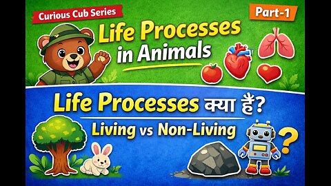 Life Processes in Animals (Part-1) | What Are Life Processes? | Living vs Non-Living | Curious Cub